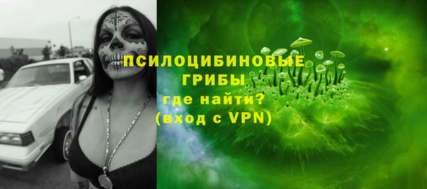 индика Строитель