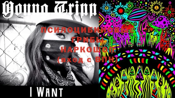 индика Строитель