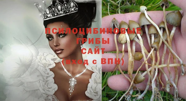 гидра Ступино