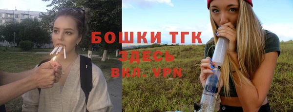 гидра Ступино